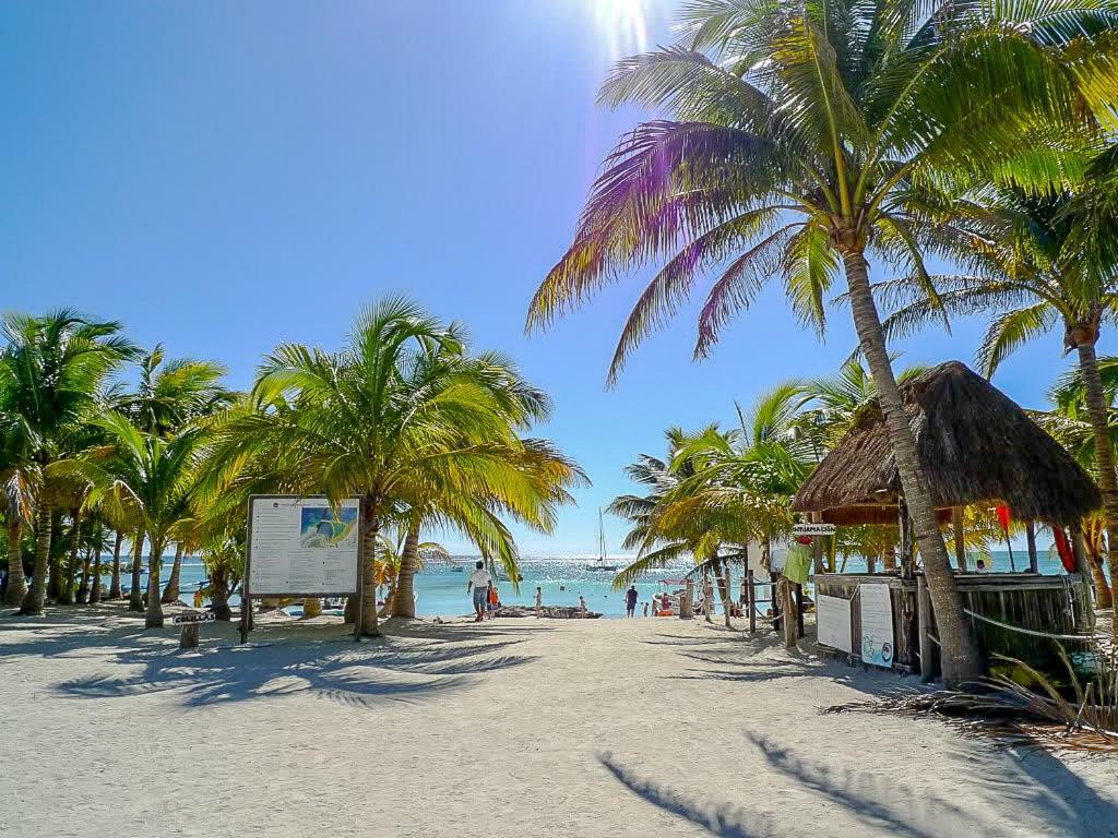 Apartments In Gated Residential Within Bahia Principe Grounds Akumal Exteriör bild